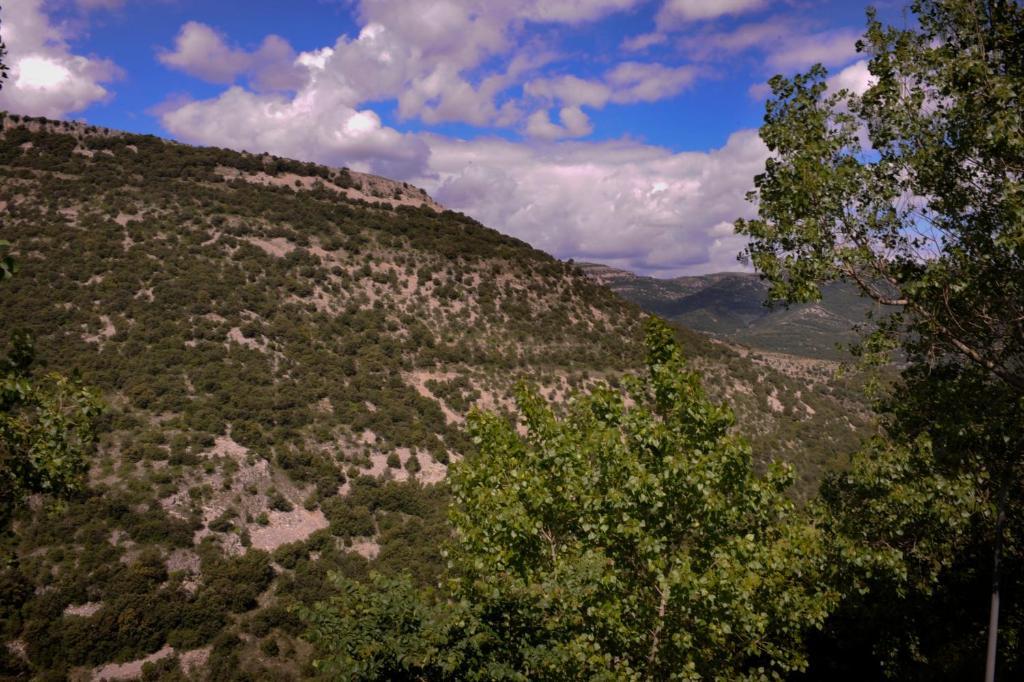 Complejo Rural La Glorieta Apartamento Catí Quarto foto